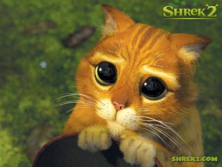 tro chou celui la